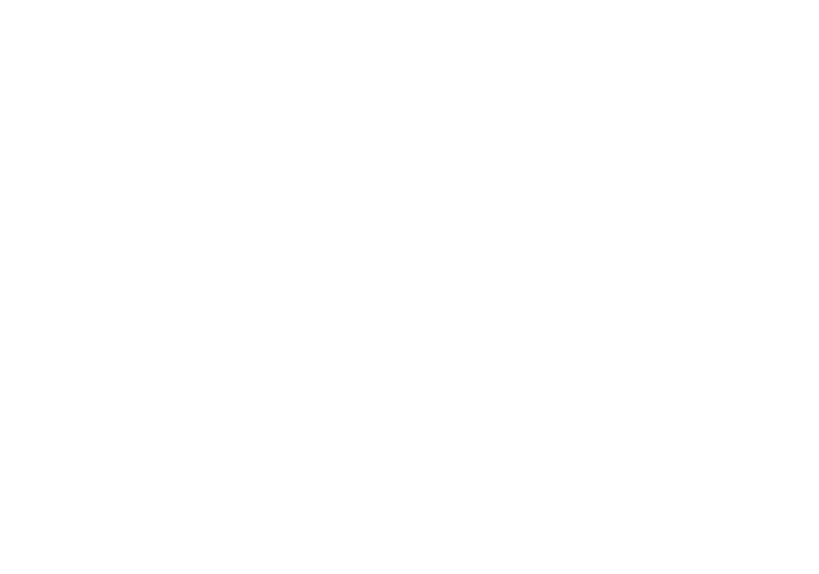 MeridianFox mark in white on a dark background